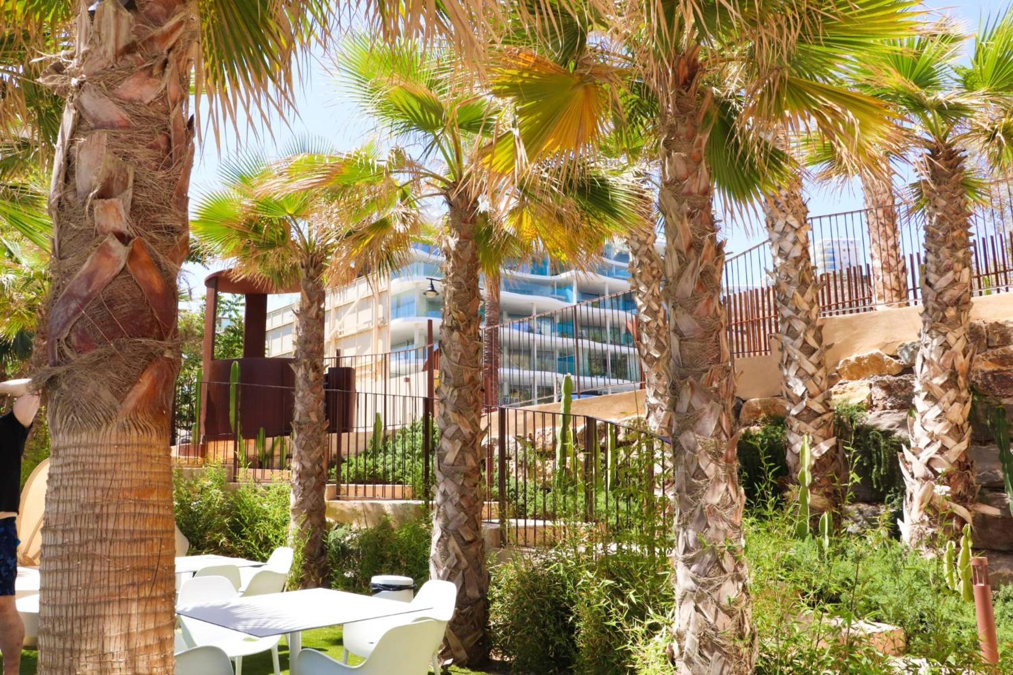 Fantastic Apartment In The Wave Just Steps From Carvajal Beach - Pool And Free Parking 丰希罗拉 外观 照片
